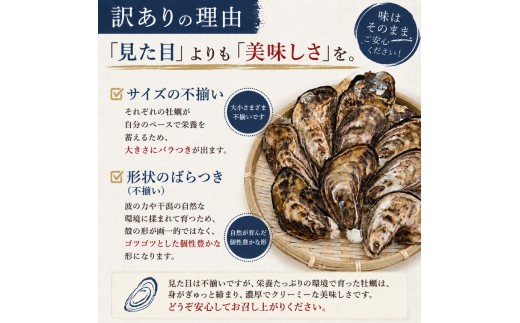 【訳あり】殻付き真牡蠣 600g | 牡蠣 カキ かき 真牡蠣 生食用 殻付き 海鮮 魚介 海のミルク おつまみ おかず 訳あり 家庭用 大分県 中津市