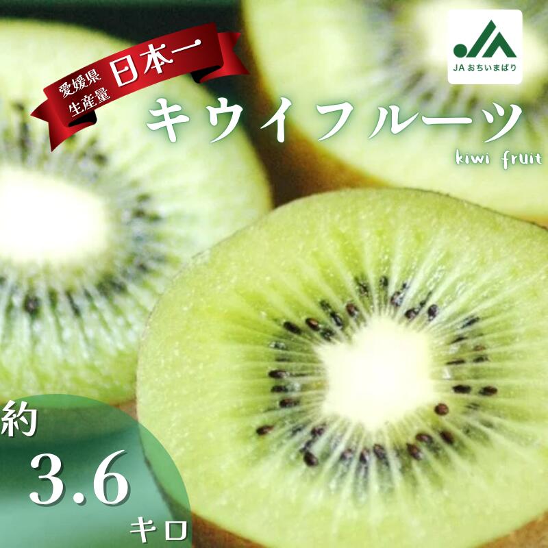 【ふるさと納税】【先行予約】キウイフルーツ L～M 30～33個 【LB02570】 グリーンキウイ JA厳選 国産 3.6kg 爽やか食感で甘い味わい 国産 期間限定 特産品 旬の果物 フルーツ 果物 おやつ デザート JA