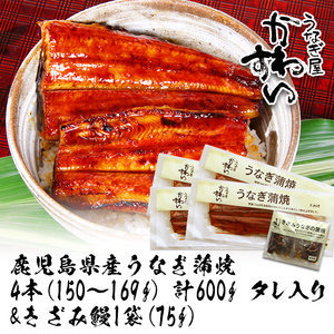 ＜うなぎ屋かわすい＞【OPEN記念！きざみ鰻セット！】鹿児島県産 国産うなぎ蒲焼 (計675g以上 / 1本あたり150～169g×4本・計600g以上 ＆ きざみ鰻 75g) タレ入り 鰻 うな重 