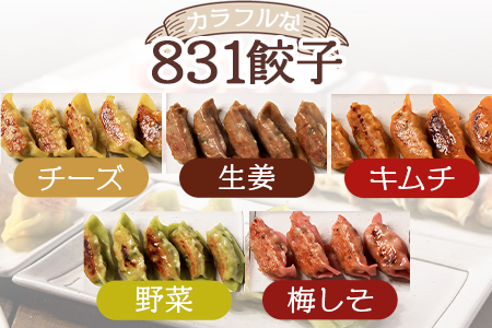 ＜国産野菜と県産豚肉をつかった冷凍生餃子 パーティー食べ比べセット 6種×5個×2箱 (タレ：ポン酢しょうゆ)＞（合計60個・各5個×2箱）プレーン・チーズ、生姜、野菜、梅、キムチをセットに♪【MI0