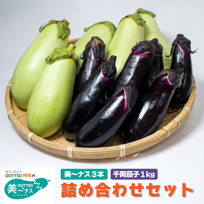 
野菜 ナス 千両茄子 約1kg 美～ナス 3本 詰合せ セット なすび 茄子 夏野菜 野菜 やさい 漬物 味噌汁 サラダ スープ カレー 麻婆豆腐 和食 洋食 中華 おかず おつまみ 惣菜 弁当 日用 ギフト 贈り物 プレゼント 焼肉 アウトドア BBQ 朝採れ 新鮮 産地直送 健康 美容 冷蔵 送料無料 徳島県 阿波市 MONTAふぁ～む
