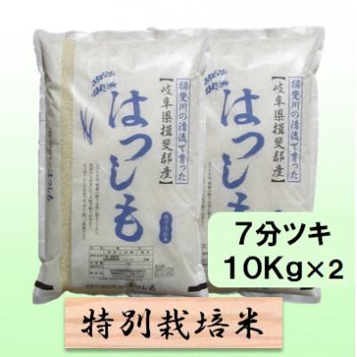 ふるさと納税 池田町 【令和7年産】特別栽培米 20kg【7分ツキ】(ハツシモ)