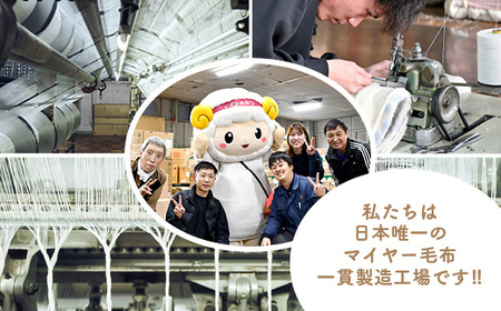 【ふるなびWEEK対象】【シングル】泉大津製 無着色 オーガニック コットン マイヤー毛布(毛羽部分) | 毛布 [0743]