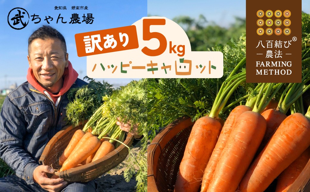 【食品ロス削減】甘さと栄養で体も笑う武ちゃん農場の“ハッピーキャロット” 5kg　H095-022