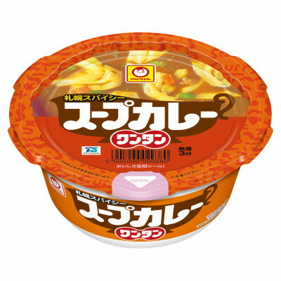 【ふるさと納税】スープカレー　ワンタン　12食【1579865】