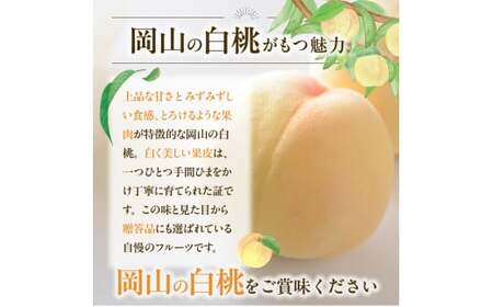 【2025年発送】びぜん白桃　紅清水白桃・末木白桃のうち1品種　約1.5kg【 岡山県備前市産 紅清水白桃 末木白桃 うち1品種 約1.5kg （５～６玉目安） 】