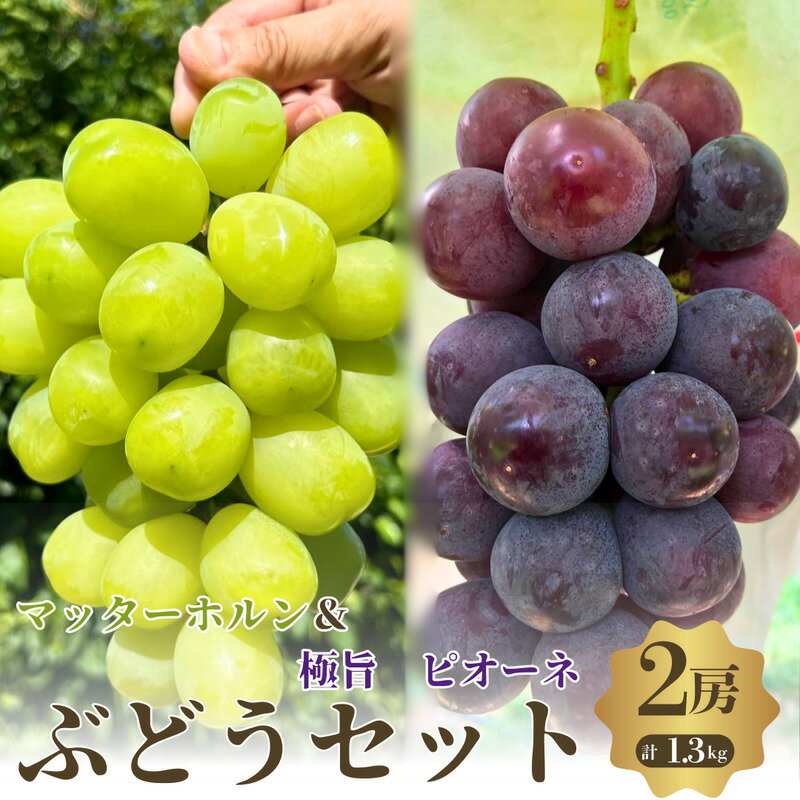 【ふるさと納税】秋本番おすすめ感謝セット　マッターホルン+ピオーネ　2房セット　お届け：2025年9月上旬～10月中旬まで