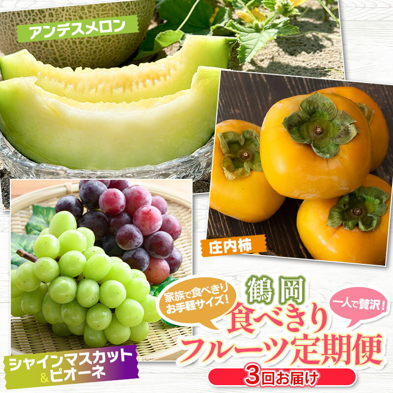 【ふるさと納税】【令和8年産先行予約】鶴岡食べきりフルーツ定期便（3回お届け）　庄内砂丘メロン・シャインマスカット＆ピオーネ・庄内柿 | 果物 ぶどう 青肉メロン