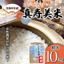 【ふるさと納税】 令和6年産米 女性農家が作ったお米「真寿美米」コシヒカリ精米10kg F21R-805