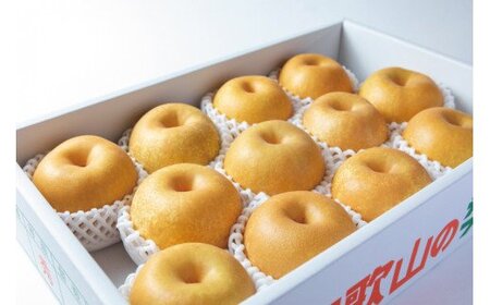 【先行予約受付】和歌山県産の美味しい梨 約4kg （10～13玉入り）【2025年8月中旬頃から順次発送予定】【mat102B】