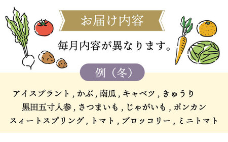 野菜定期便 12回 大村産野菜果物  [ACAA092]
