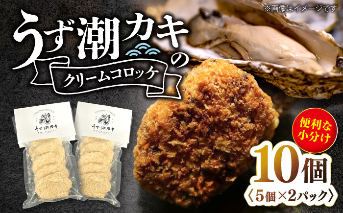 
            【揚げるだけで簡単！】 うず潮 カキ のクリーム コロッケ 10個（5個×2パック）＜西海クリエイティブカンパニー＞ [CAA118] 長崎 西海 カキ 牡蠣 かき 揚げるだけ 簡単調理 コロッケ 惣菜 コロッケ 贈答 お土産 ギフト
          