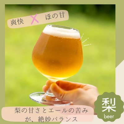 季節限定 醸造霞ヶ浦梨エール計990ml【配送不可地域：離島】【1691160】