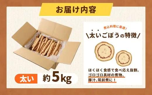 鹿児島県産 洗い【太い】 ごぼう 約5kg 【規格外・訳あり品】【2026年12月上旬-3月下旬発送予定】 AS-4115