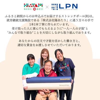 ふるさと納税 泉佐野市 【LPN社製】ストレッチポールEX(ネイビー) 100F072 |  | 01