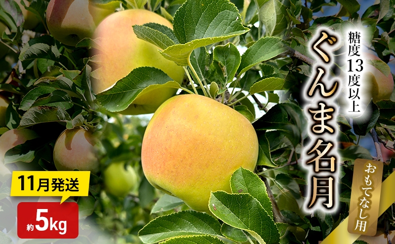 
                  りんご【11月発送】糖度13度以上 ぐんま名月 おもてなし用 家庭用 約5kg 【青森りんご】
                