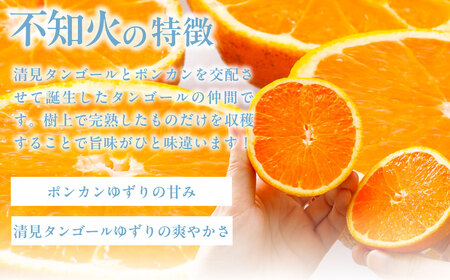 【先行受付】【家庭用】不知火（しらぬい） 約5kg ※離島への配送不可（2027年3月上旬より順次発送） IKTAB003 