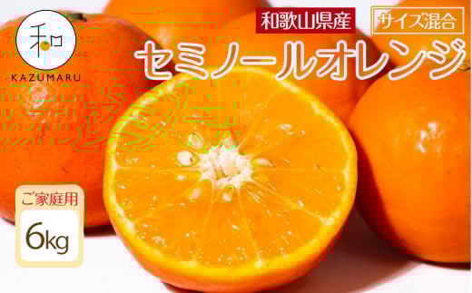 家庭用 森本農園の手選別 セミノールオレンジ 6kg 和歌山県産 サイズ混合 ［北海道・沖縄・離島配送不可］［RN36］［2026年4月中旬から順次発送］