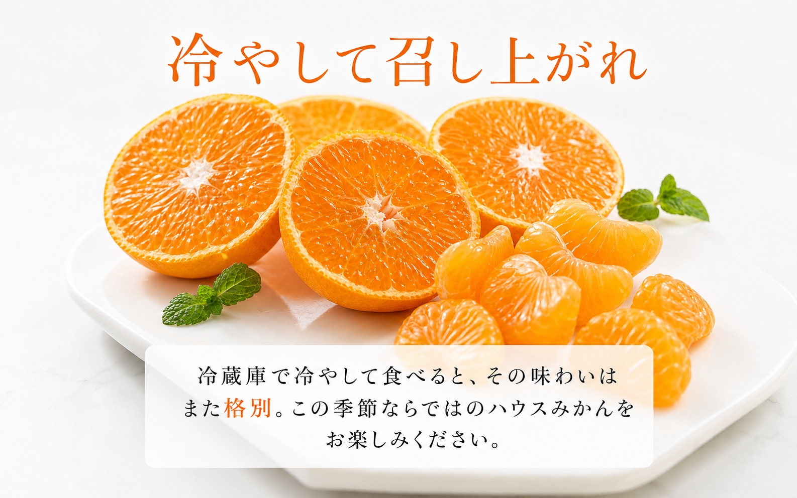 【先行予約】赤秀品 紀州和歌山 ハウスみかん2.5kg【予約】※2027年6月下旬頃〜7月下旬頃に順次発送予定(お届け日指定不可) / みかん 果物 くだもの フルーツ 柑橘 オレンジ 和歌山 有田み