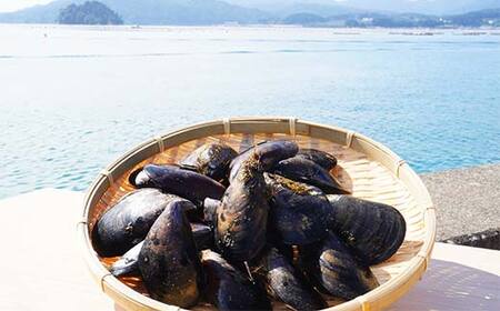 大福丸のムール貝 3kg【三陸山田産】【配送日指定不可】【沖縄・離島配送不可】三陸山田 山田町 山田湾 海産品 しゅうり貝 海鮮 シーフード おつまみ 殻付き 酒蒸し パスタ パエリア ワイン蒸し Y