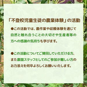 不登校児童生徒の農業体験の支援 （支援のみ） 〈 サポート 学び 食育 収穫体験 農業体験 体験 収穫 野菜 子供 親子 農作物 ふるさと納税 柏 〉