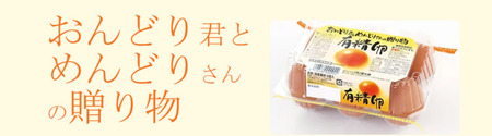 おんどり君とめんどりさんの贈り物(6個入り×8P 計48個)