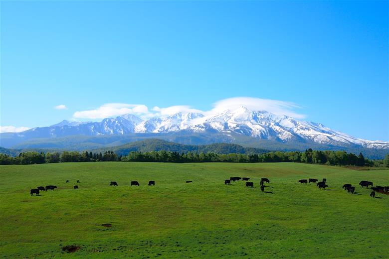 北海道上川町ＡＮＡトラベラーズホテル割引クーポン22,500点分