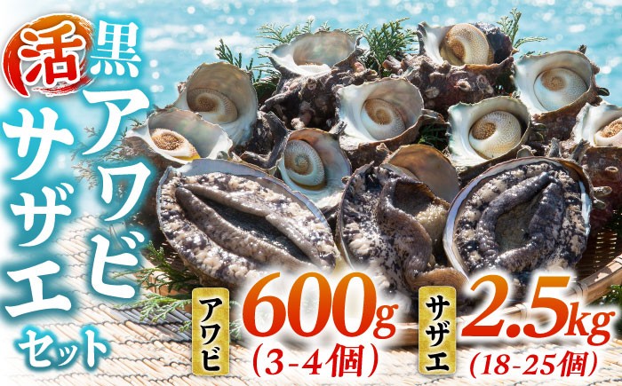 
                  活アワビ600g・活サザエ2.5kg《壱岐市》【丸和水産】[JCJ003] あわび アワビ 鮑 サザエ さざえ 栄螺 刺身 刺し身 お刺身 海産物 鮮魚 海鮮 冷蔵 魚介 貝 生 52000 52000円
                