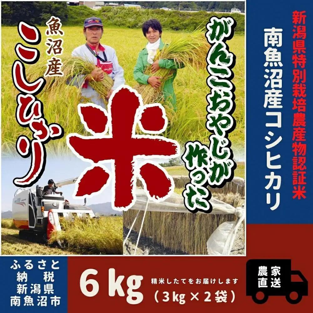 【令和７年】特別栽培米　がんこおやじが作った南魚沼産コシヒカリ 白米６kg（３kg×２袋） | 米