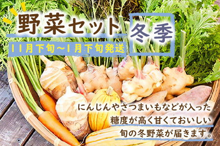 【オーガニック野菜／有機野菜 定期便】SORA農園有機野菜セット年2回 定期便 （夏季・冬季）お届け 野菜 オーガニック野菜 有機野菜 野菜 セット 野菜 詰め合わせ 定期便 野菜 定期便 冬野菜 夏