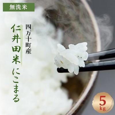 ふるさと納税 四万十町 四万十町産 無洗米「にこまる」 5kg　罪悪感は必要ナシ!家事をサボってうまいお米を食べてください!