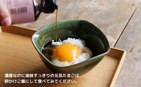 卵 朝採り 新鮮！ たっぷり40個(36個＋割れ補償4個) 濃厚で美味しい卵 わたなべさんちの元気たまご 20個×2パック  新潟 糸魚川 卵 たまご  