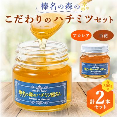 ふるさと納税 榛東村 榛名の森のハチミツ2種セット!【アカシア・百花】300g×2本(各1本)