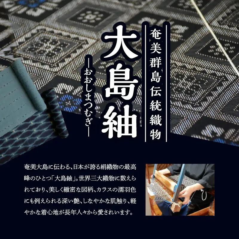 本場 奄美大島紬 中綿入り ポーチ （ 変わり 格子柄 ） W040-005-2u 雑貨 日用品