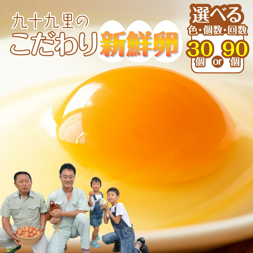 【ふるさと納税】たまご 卵 玉子 タマゴ 九十九里ファームこだわりたまご～あおい海・みどりの里～ 《 選べる色・個数・回数 》／ 30個 90個 定期便 3回 6回 9回 12回 卵かけご飯 新鮮 贈答用 贈答 ギフト 贈り物 訳あり 訳アリ 送料無料 期間限定
