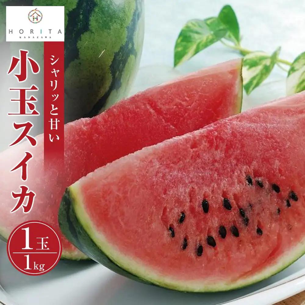 【2026年6月上旬～発送】【先行予約】小玉 スイカ 1kg（1玉）