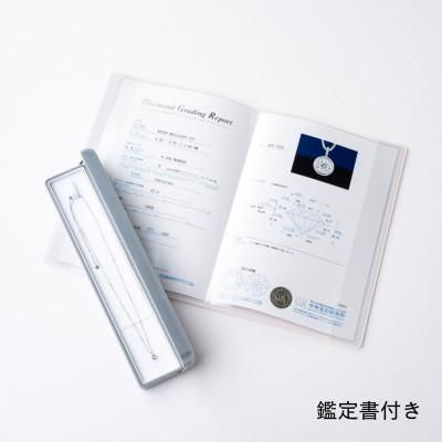 ふるさと納税 山梨市 プラチナ最上等級【Dカラー】大粒ダイヤモンドネックレス 0.3ct UP |  | 03