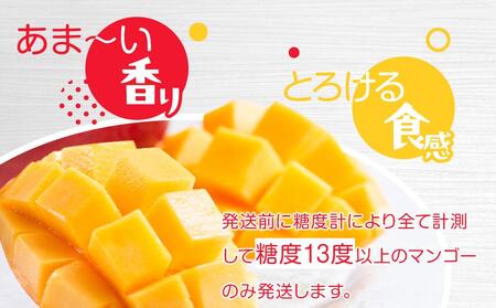 与論島産　島っ娘マンゴー（秀品）2kg　5～6玉　糖度13度以上【先行予約：2025年7月上旬以降発送】| マンゴー 与論 マンゴー 人気 2kg マンゴー 与論島 マンゴー