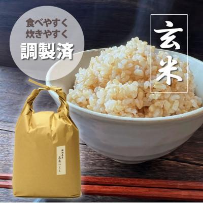 ふるさと納税 大川市 福岡県産「元気つくし」5kg×1袋 [5kg] [玄米](大川市)