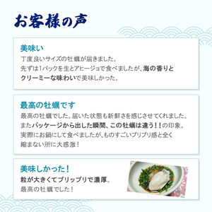  牡蠣 坂越かき 剥き牡蠣 500g×3[ 生牡蠣 かき カキ むき身 剥き身 生食 冬牡蠣 ] 魚貝類 魚介類 