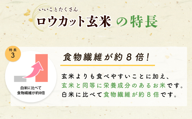 金芽ロウカット玄米 4kg【東洋ライス 2kg×2P お米 米 こめ 国産 小分け】 099H202