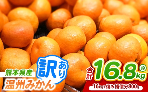 訳あり 熊本県産 温州 みかん 約 16.8kg （16kg+傷み補償分800g） | フルーツ 果物 くだもの 柑橘 みかん ミカン オレンジ 温州ミカン 熊本県 玉名市 みかん 名産地 甘い みかん