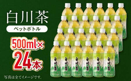 緑茶ペットボトル 500ml×24本入 / 白川園本舗[AWAT001]お茶緑茶