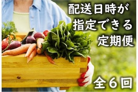 日時指定可能！旬のお野菜セット（サイズ小）【全６回定期便】