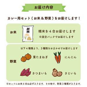【先行予約】 野菜 米 セット カレー用 農薬不使用 自然栽培 | お米お米お米お米【SSF004】