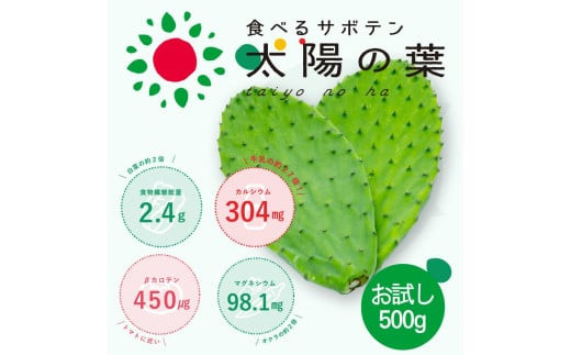 【期間限定】食べるサボテン 太陽の葉 フレッシュリーフ(新芽限定・お試し500g)