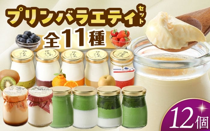 
            シュシュの種々様々な11種のプリン12個セット　長崎県/有限会社シュシュ [42AEAA019]
          