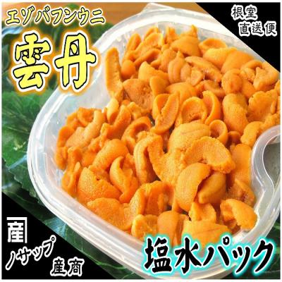 ふるさと納税 根室市 エゾバフンウニ塩水パック80〜90g×1P B-59018