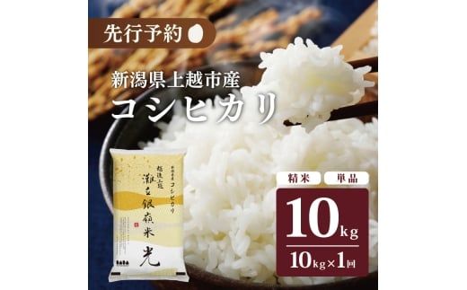 令和7年産 先行予約 新潟県上越市名立区産 コシヒカリ 棚田米 「灘立銀嶺米 光」  10kg 上越市 精米 米 コメ ブランド米