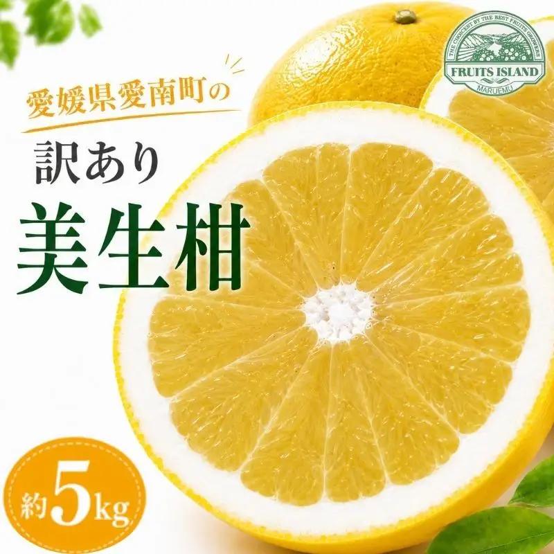 訳あり 美生柑 みしょうかん 約 5kg 河内晩柑 かわちばんかん 愛媛 愛南 マルエム直販